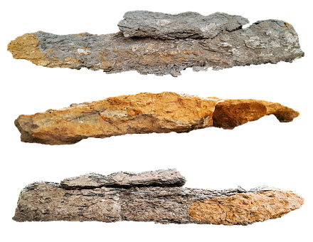 Fossilized Wood Specimens PNG Image