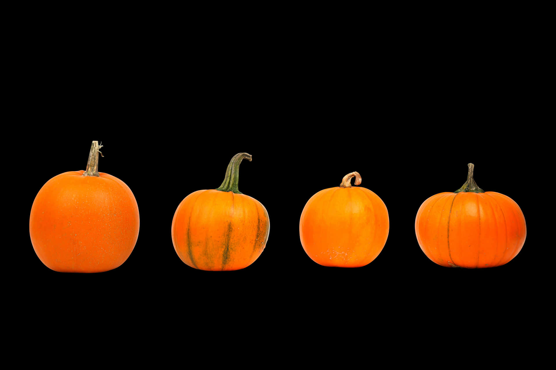 Four Orange Pumpkins Black Background PNG Image