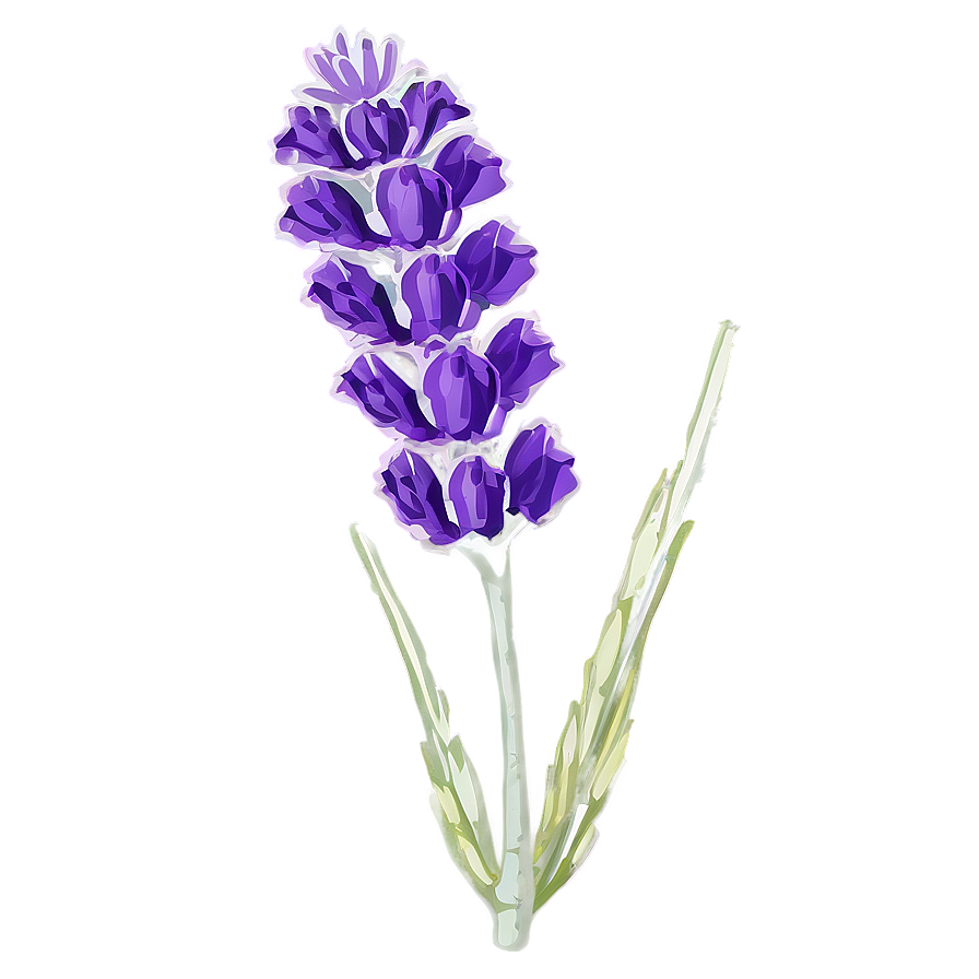 French Lavender Flower Png Exo PNG Image