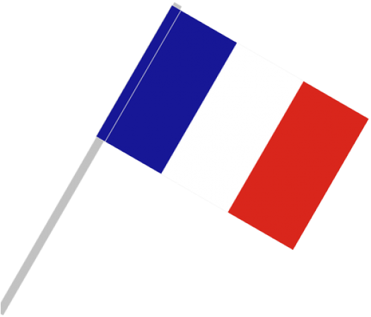 French National Flagon Pole PNG Image