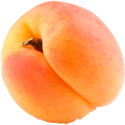 Fresh Apricot Single Fruit PNG Image