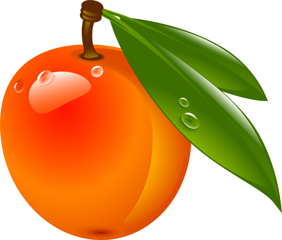 Fresh Apricot With Dew Drops PNG Image