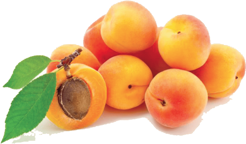 Fresh Apricots Cluster.png PNG Image