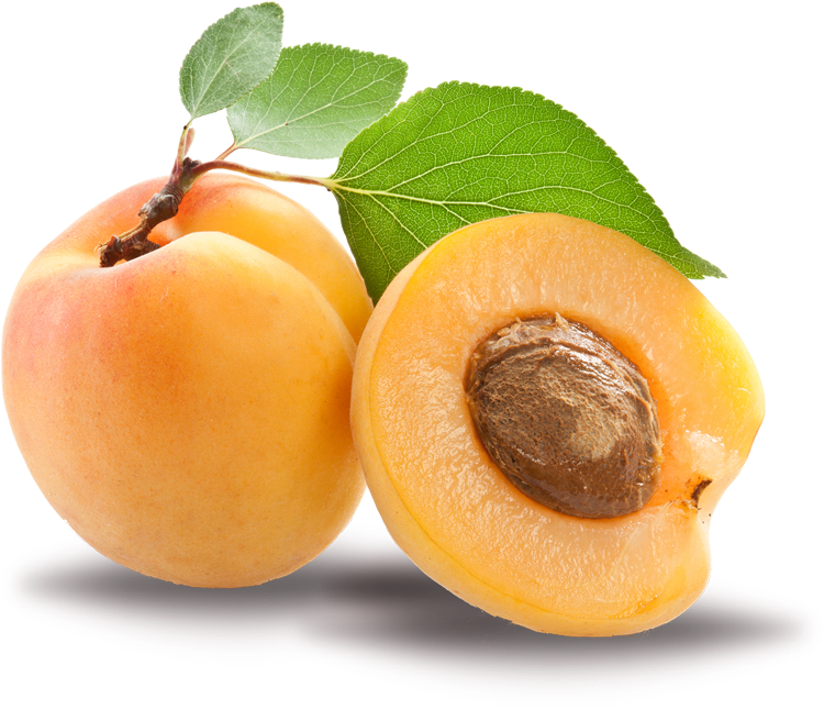 Fresh Apricots With Leaf PNG Image