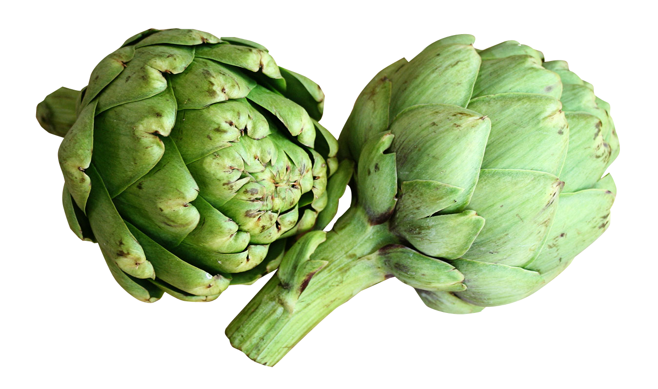 Fresh Artichokes Isolated PNG Image