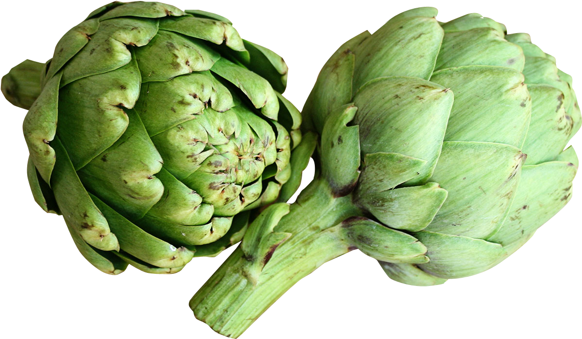 Fresh Artichokes Isolated PNG Image