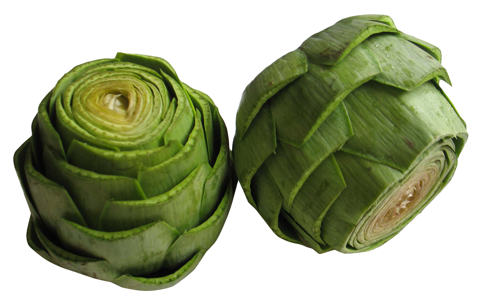 Fresh Artichokes Transparent Background PNG Image