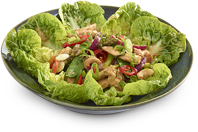 Fresh Asian Chicken Salad PNG Image