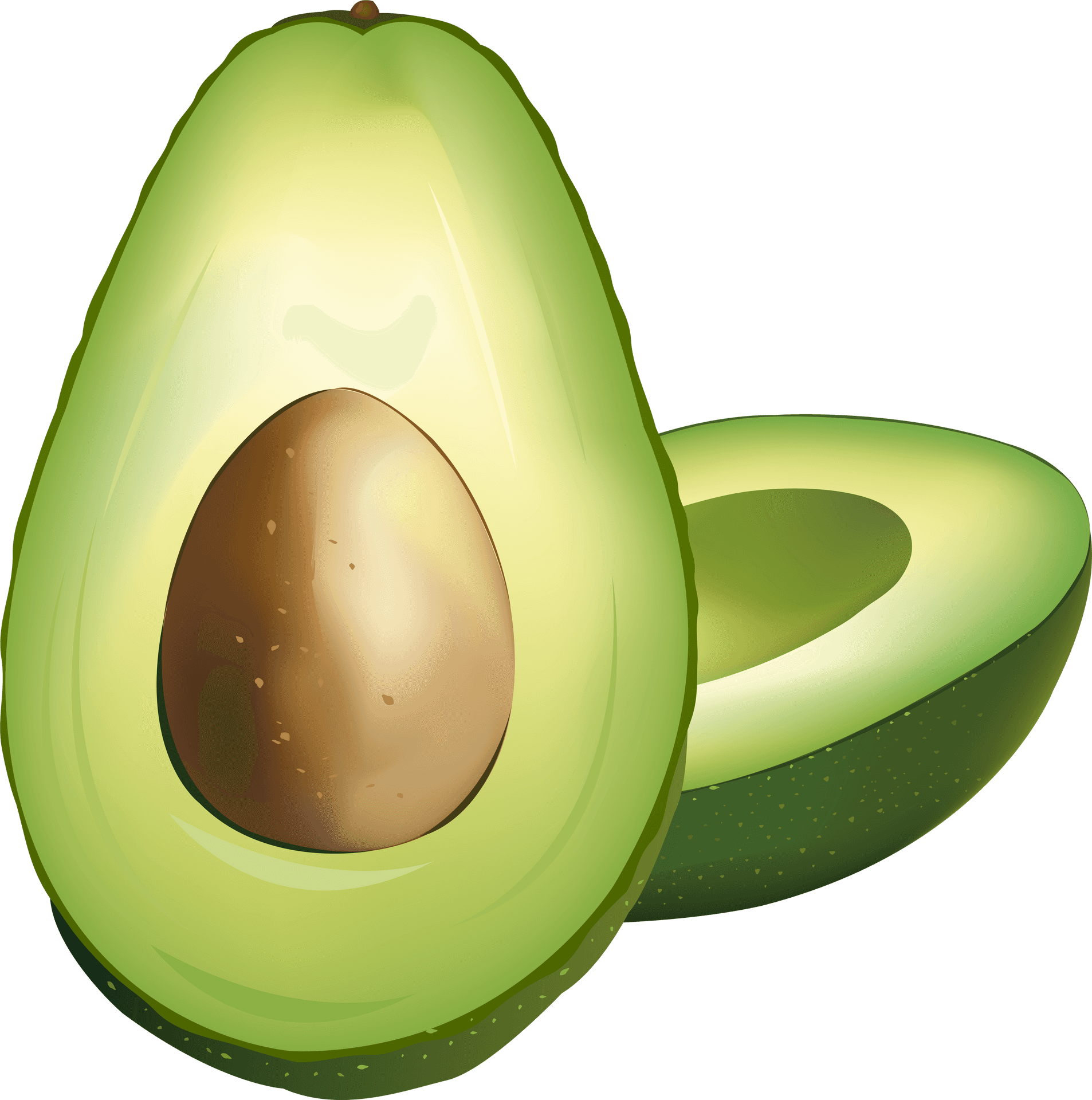 Fresh Avocado Halved Illustration PNG Image