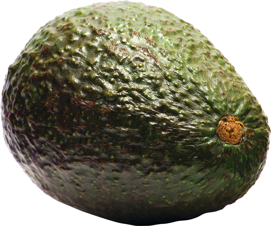 Fresh Avocado Single Fruit PNG Image