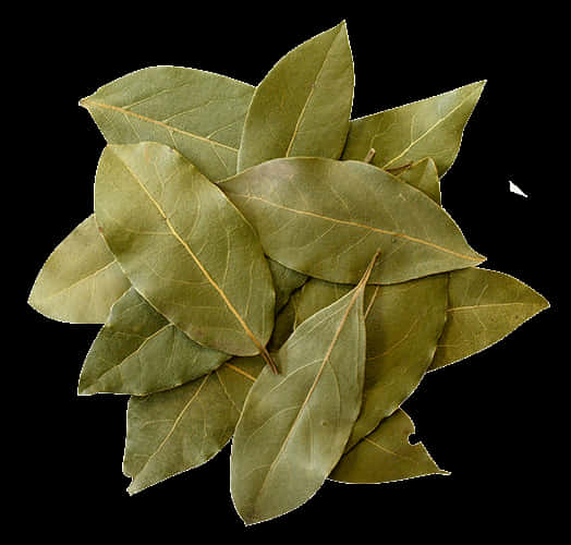 Fresh Bay Leaves Isolatedon Black Background PNG Image