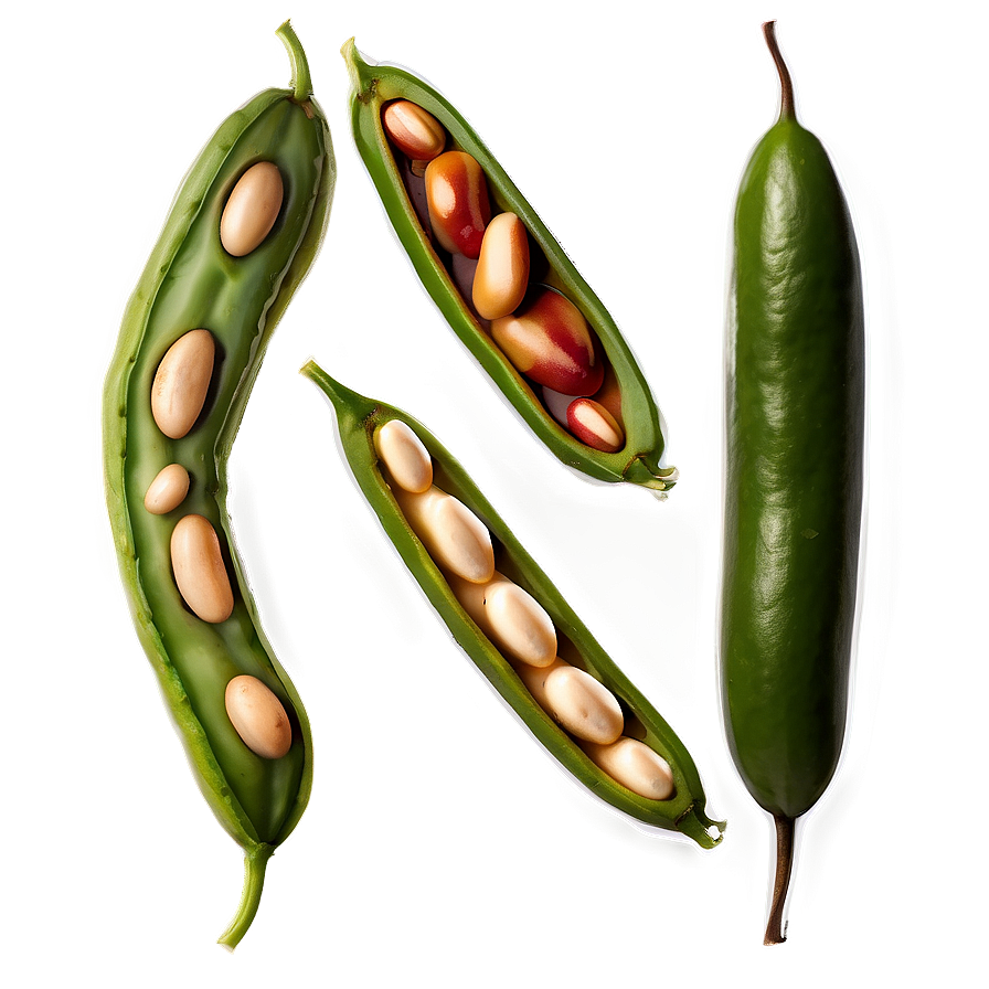 Fresh Bean Image Png Smt57 PNG Image