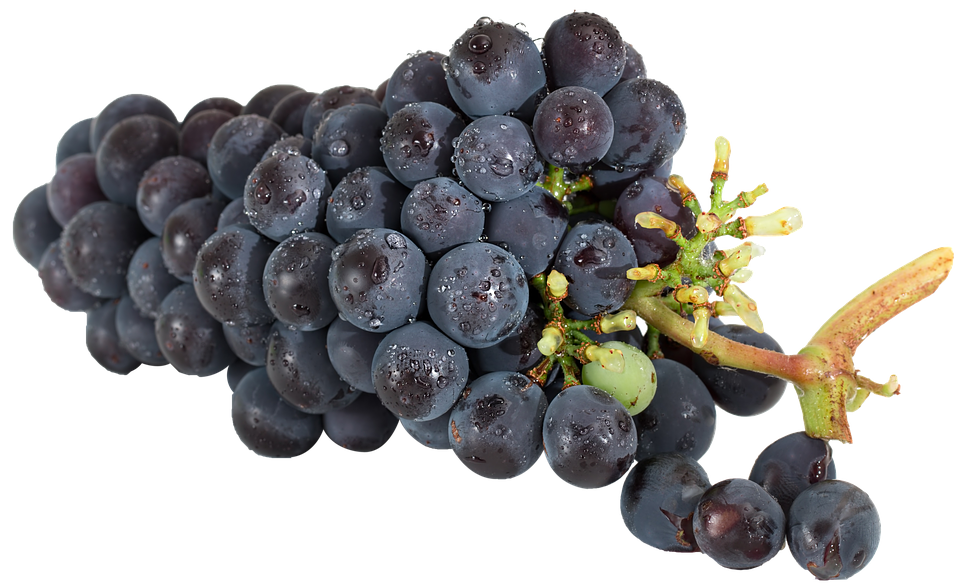 Fresh Black Grapeswith Water Droplets PNG Image