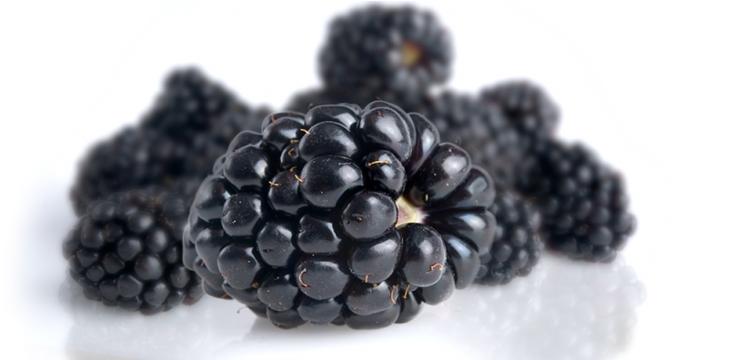 Fresh Blackberries Display PNG Image