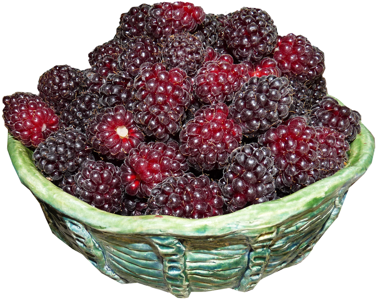 Fresh Blackberriesin Ceramic Bowl PNG Image