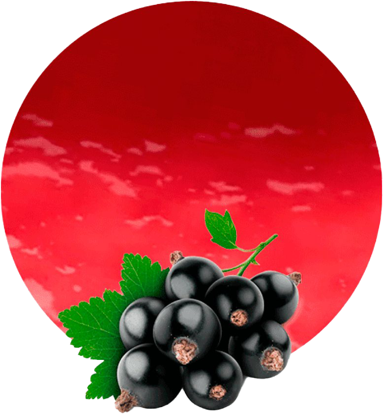 Fresh Blackcurrant Cluster Red Background.png PNG Image