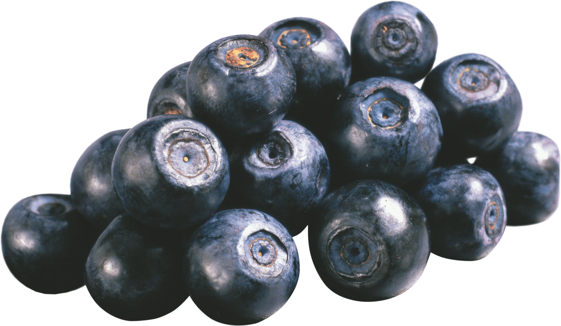 Fresh Blueberries Cluster.png PNG Image