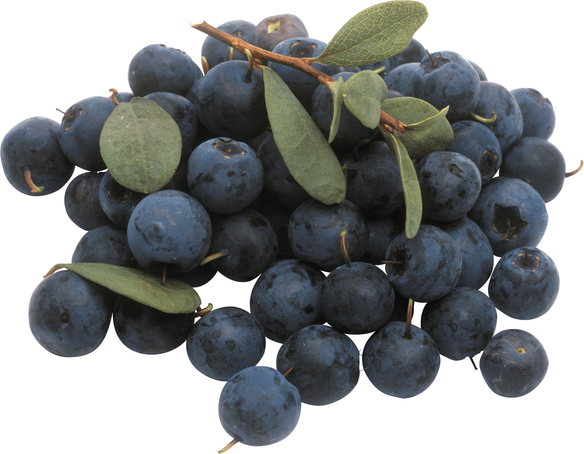 Fresh Blueberries Cluster.png PNG Image