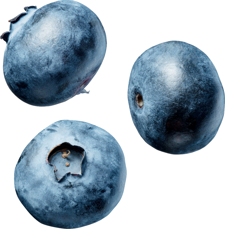 Fresh Blueberries Isolated PNG Image