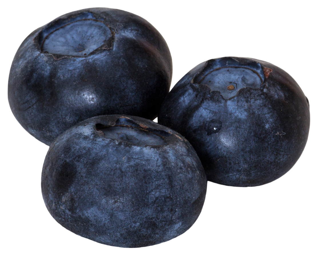 Fresh Blueberries Isolated PNG Image