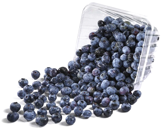 Fresh Blueberries Spilling From Container PNG Image