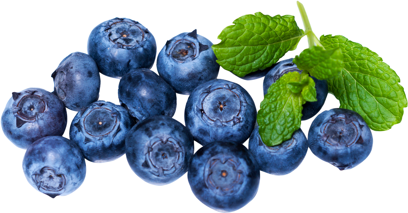 Fresh Blueberries With Mint Leaves.png PNG Image