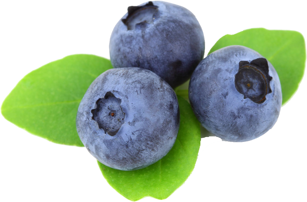 Fresh Blueberrieswith Leaves PNG Image