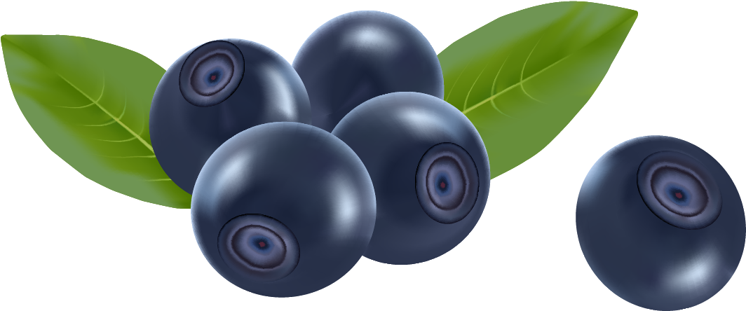 Fresh Blueberrieswith Leaves PNG Image