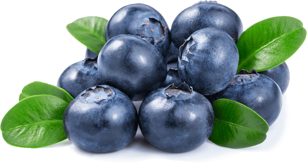 Fresh Blueberrieswith Leaves.png PNG Image