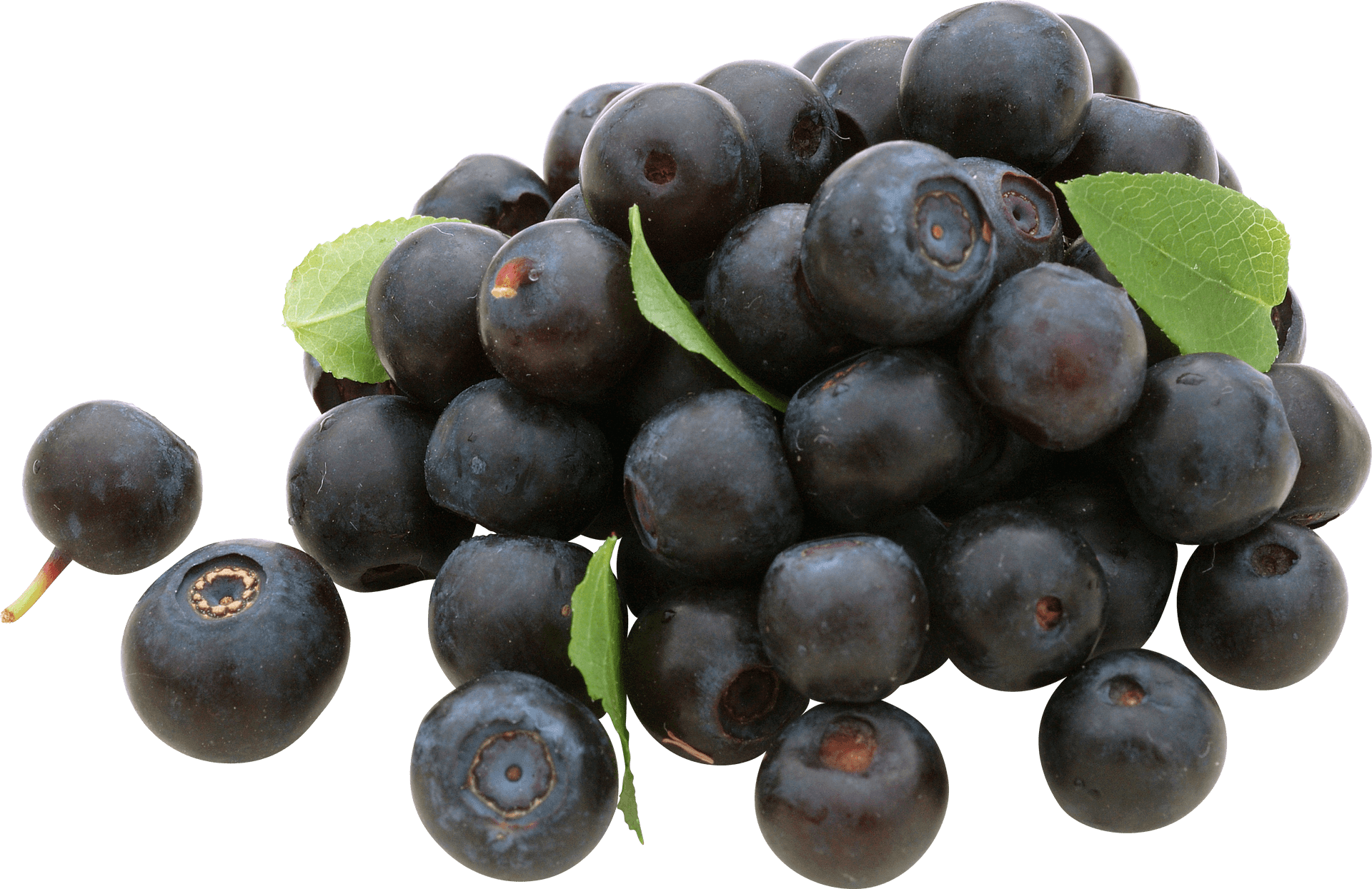 Fresh Blueberrieswith Leaves.png PNG Image