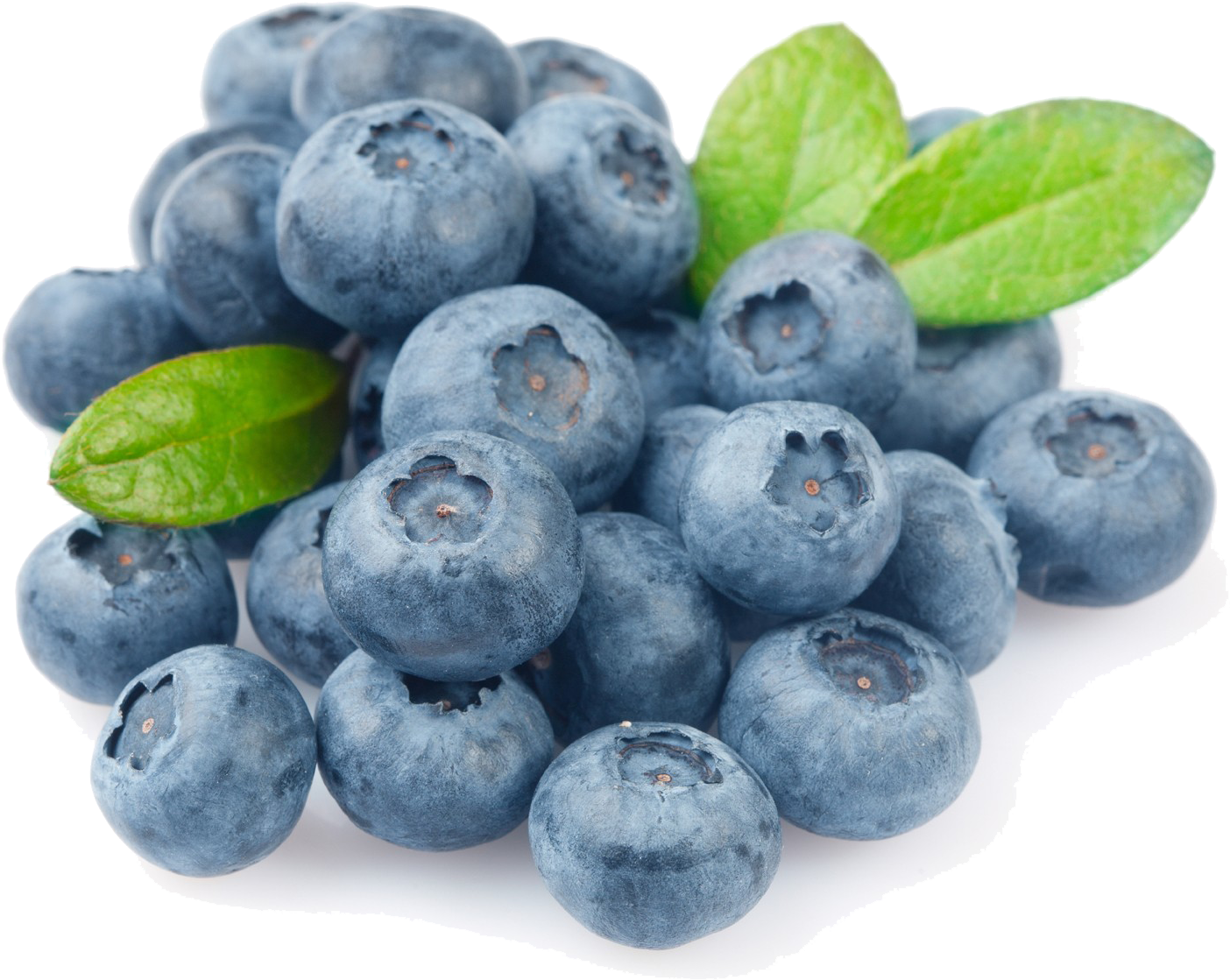 Fresh Blueberrieswith Leaves.png PNG Image