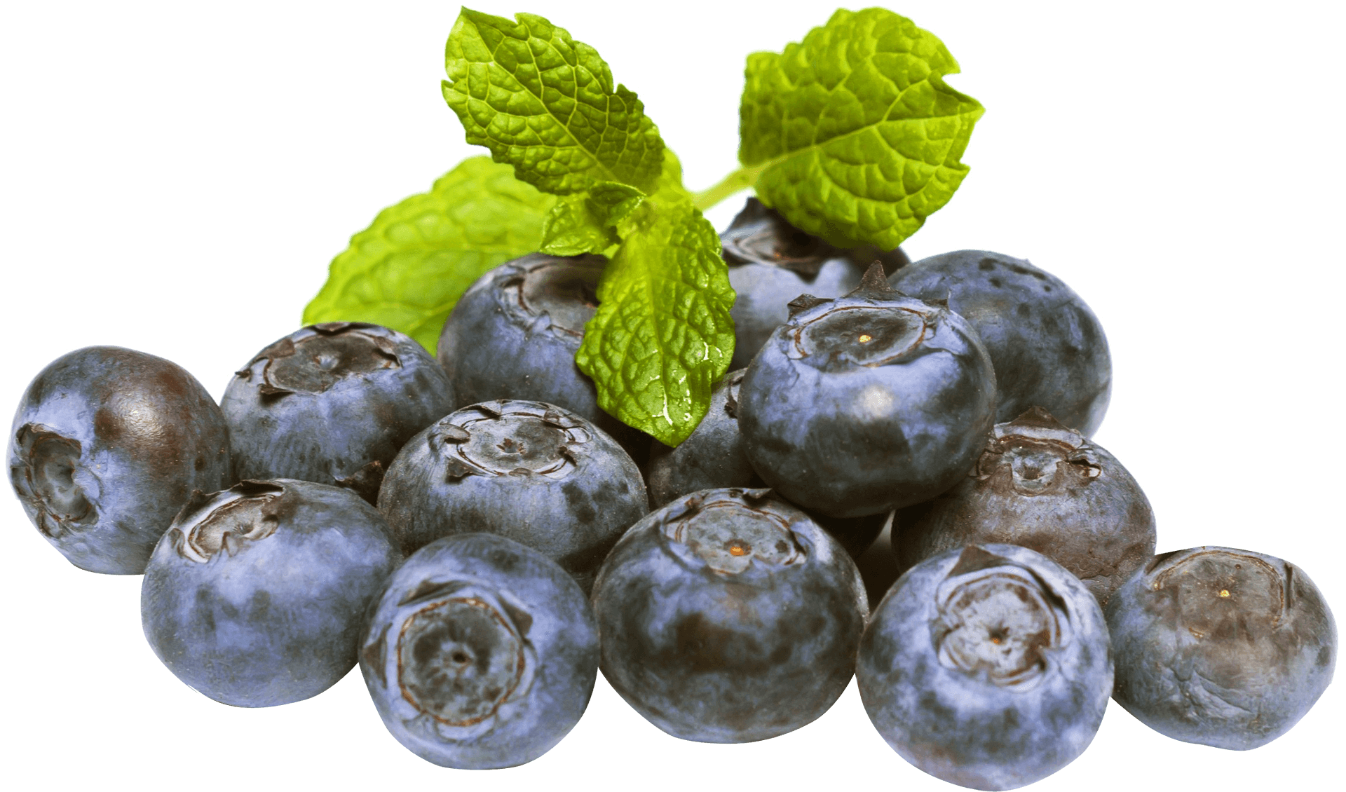 Fresh Blueberrieswith Mint Leaves PNG Image