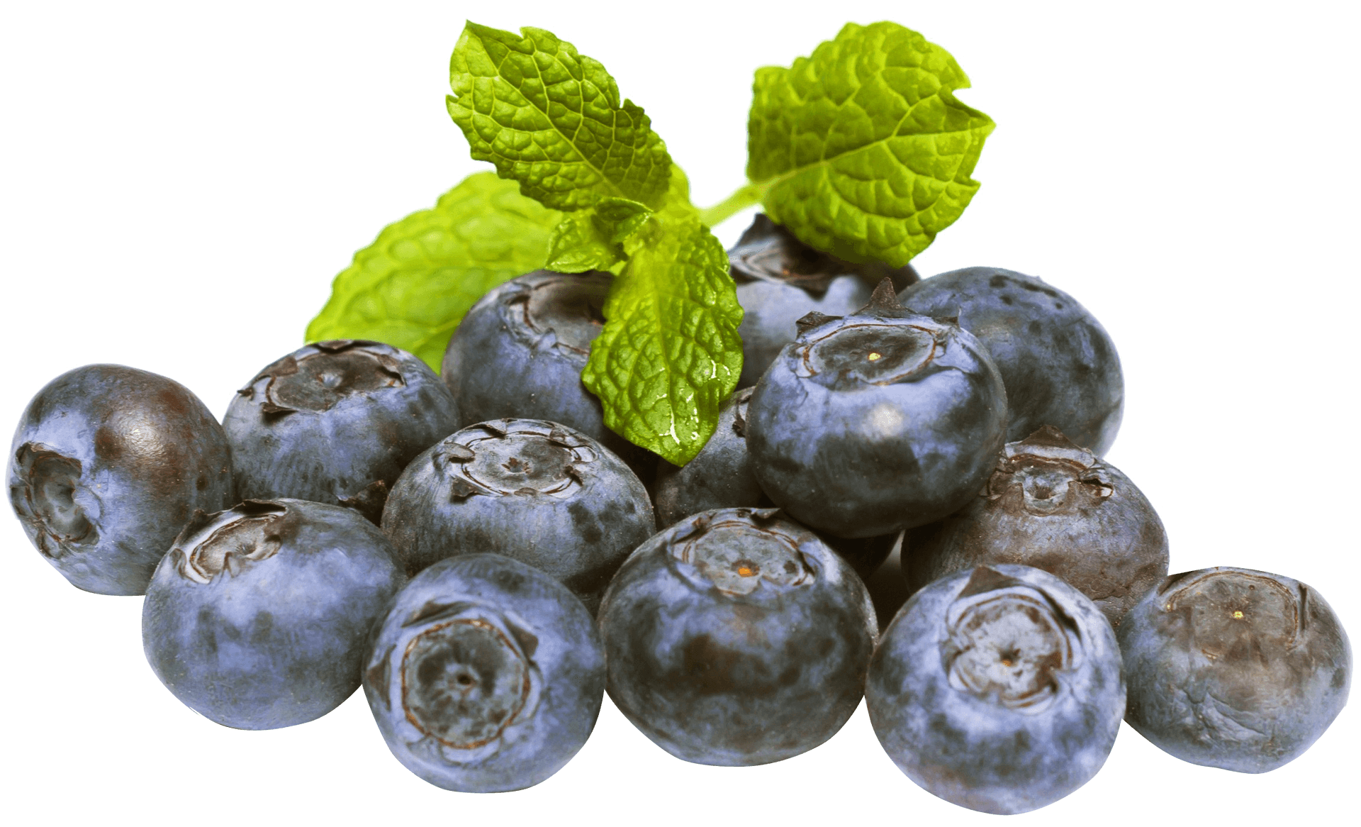 Fresh Blueberrieswith Mint Leaves PNG Image