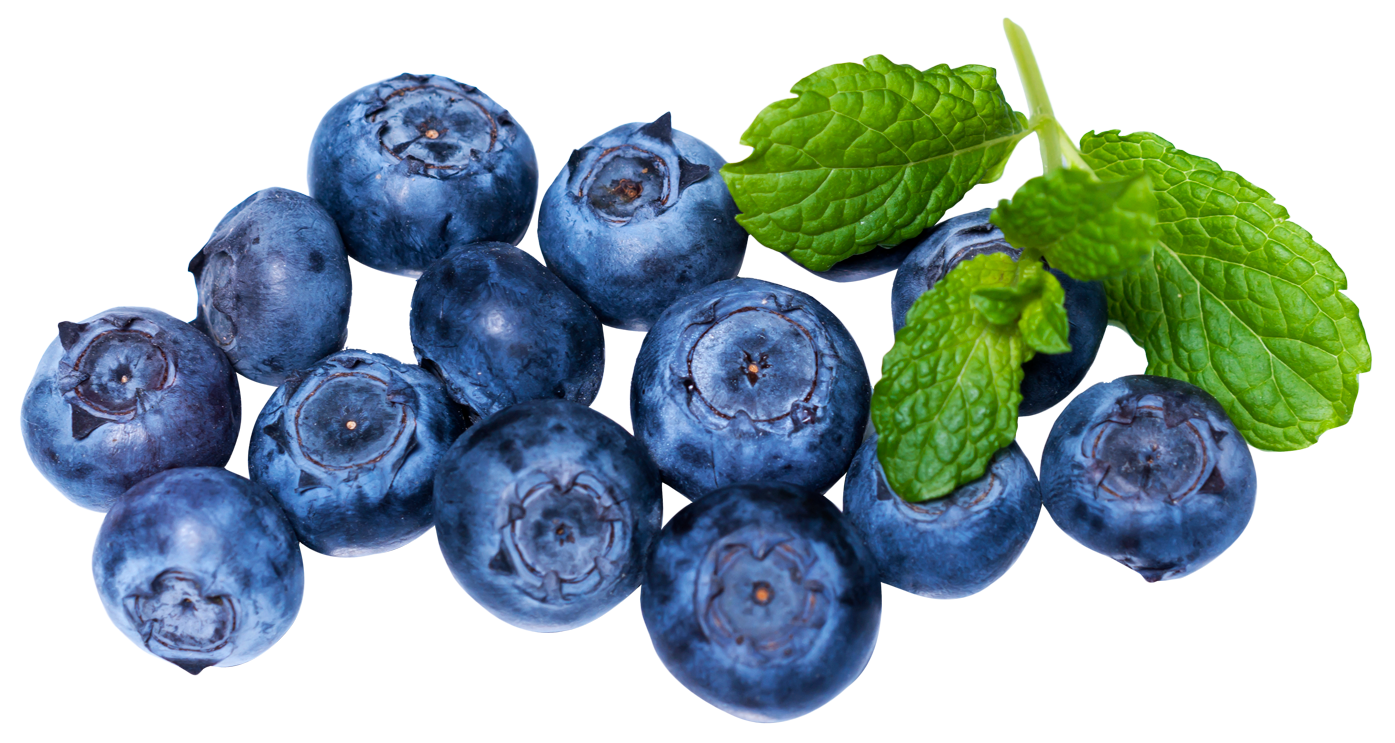 Fresh Blueberrieswith Mint Leaves PNG Image