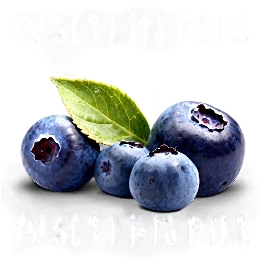 Fresh Blueberry Png Ugi76 PNG Image