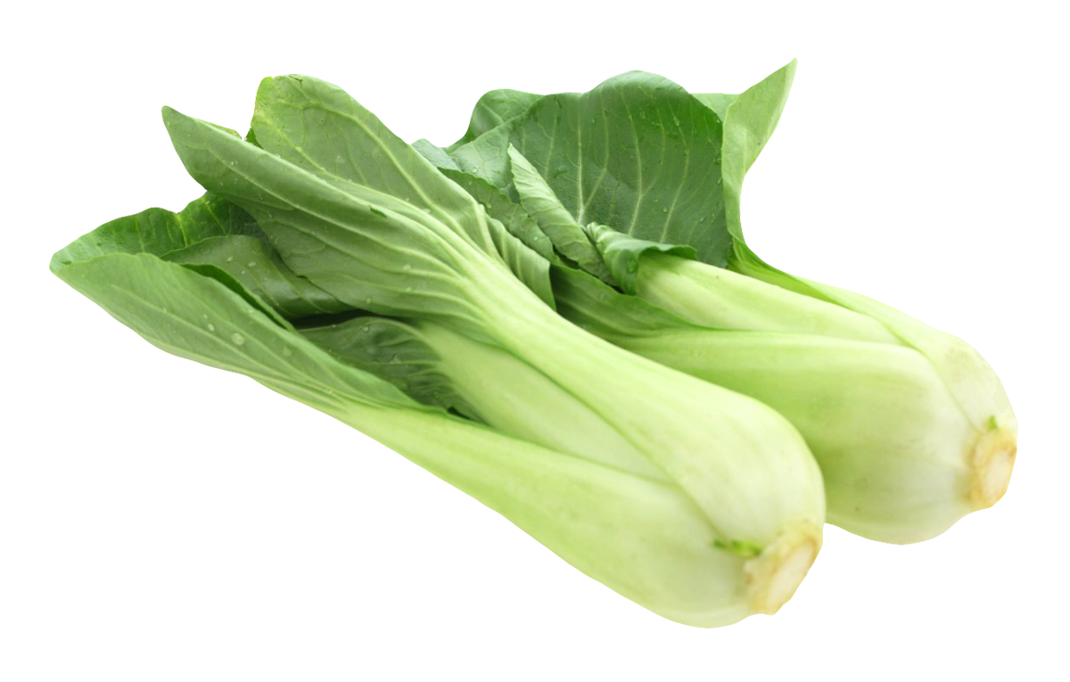 Fresh Bok Choy Vegetable PNG Image