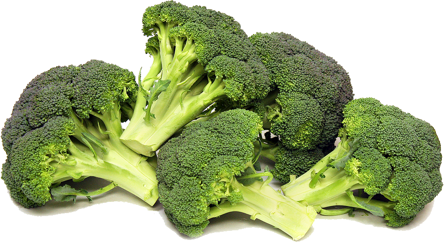 Fresh Broccoli Bunches.png PNG Image