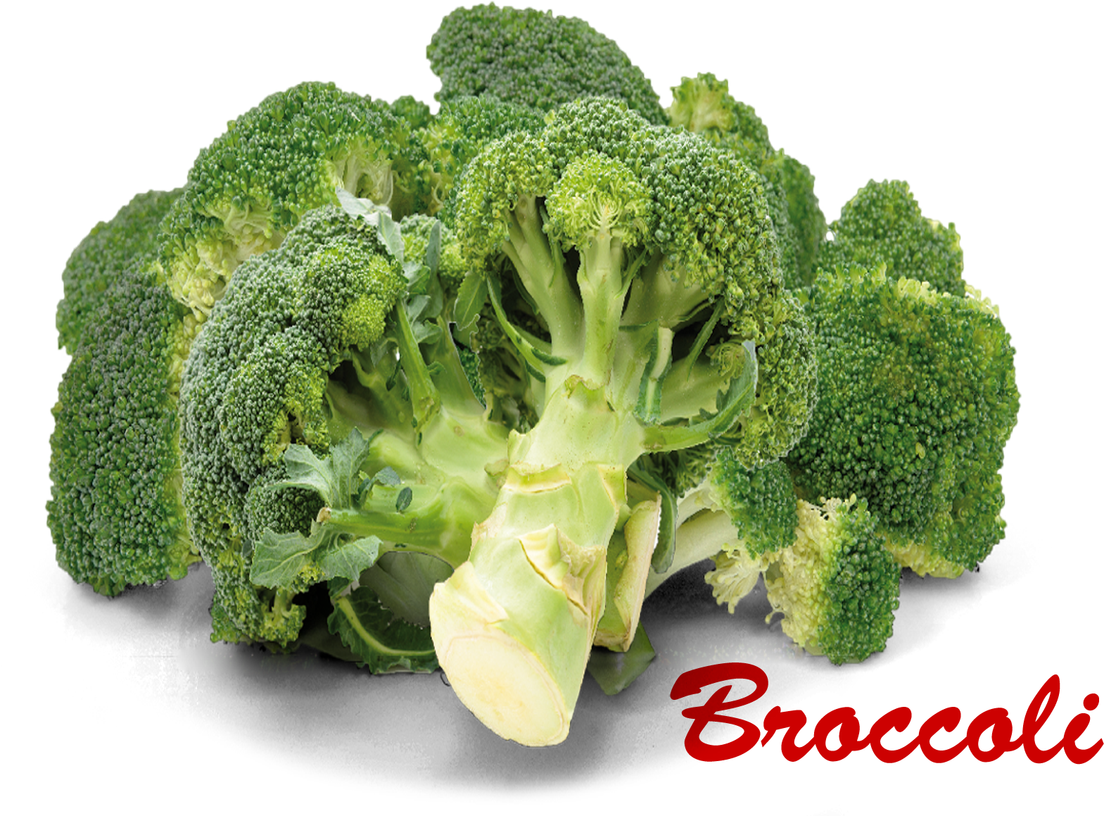 Fresh Broccoli Clusterwith Text PNG Image