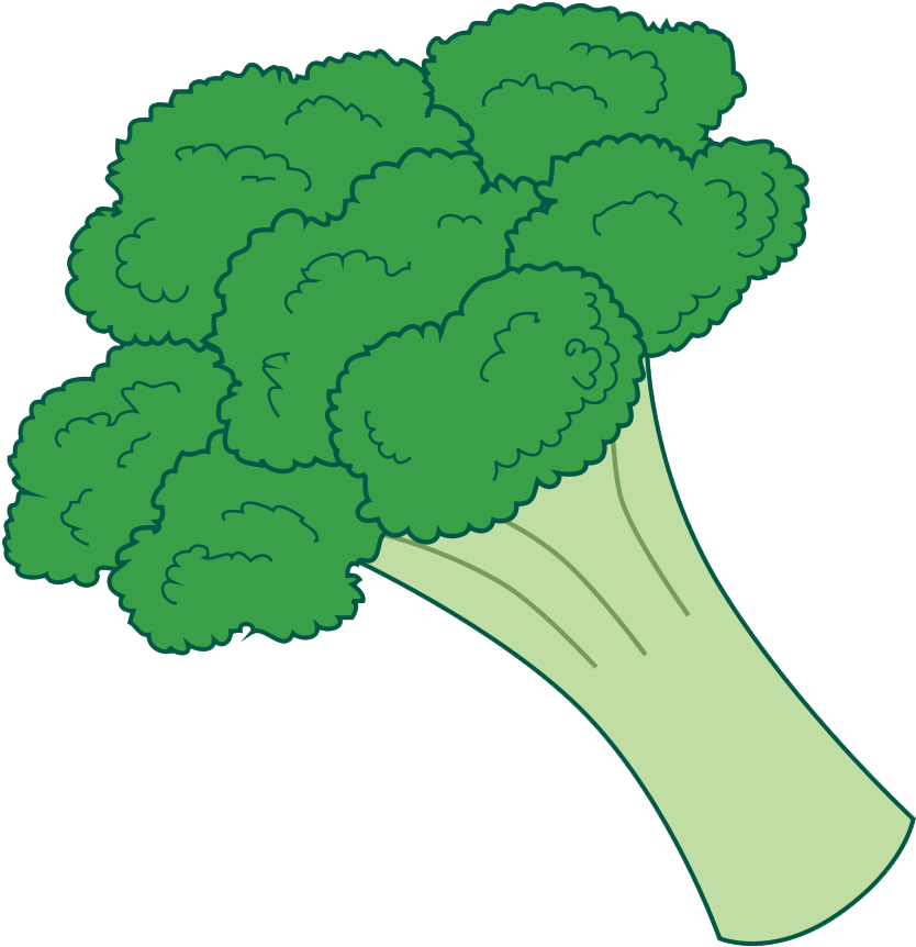 Fresh Broccoli Illustration PNG Image