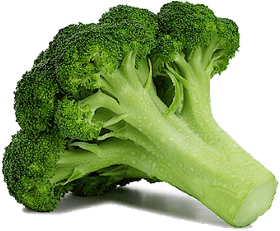 Fresh Broccoli Stalk PNG Image