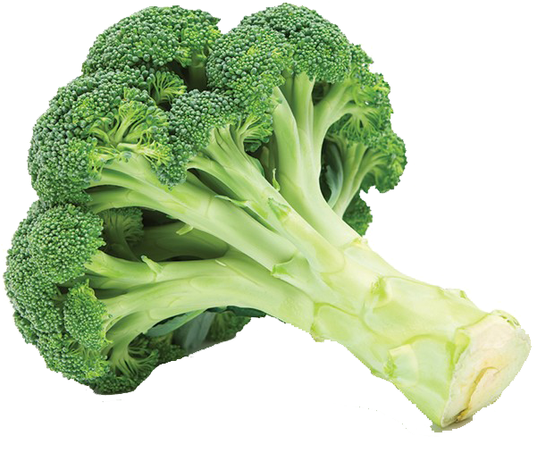 Fresh Broccoli Stalks.png PNG Image