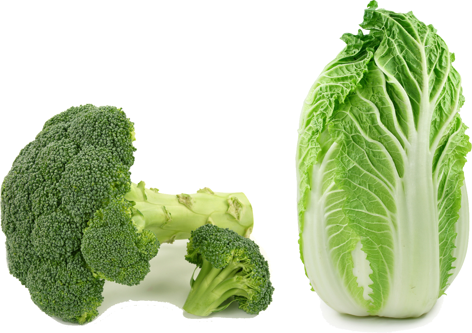 Fresh Broccoliand Cabbage PNG Image