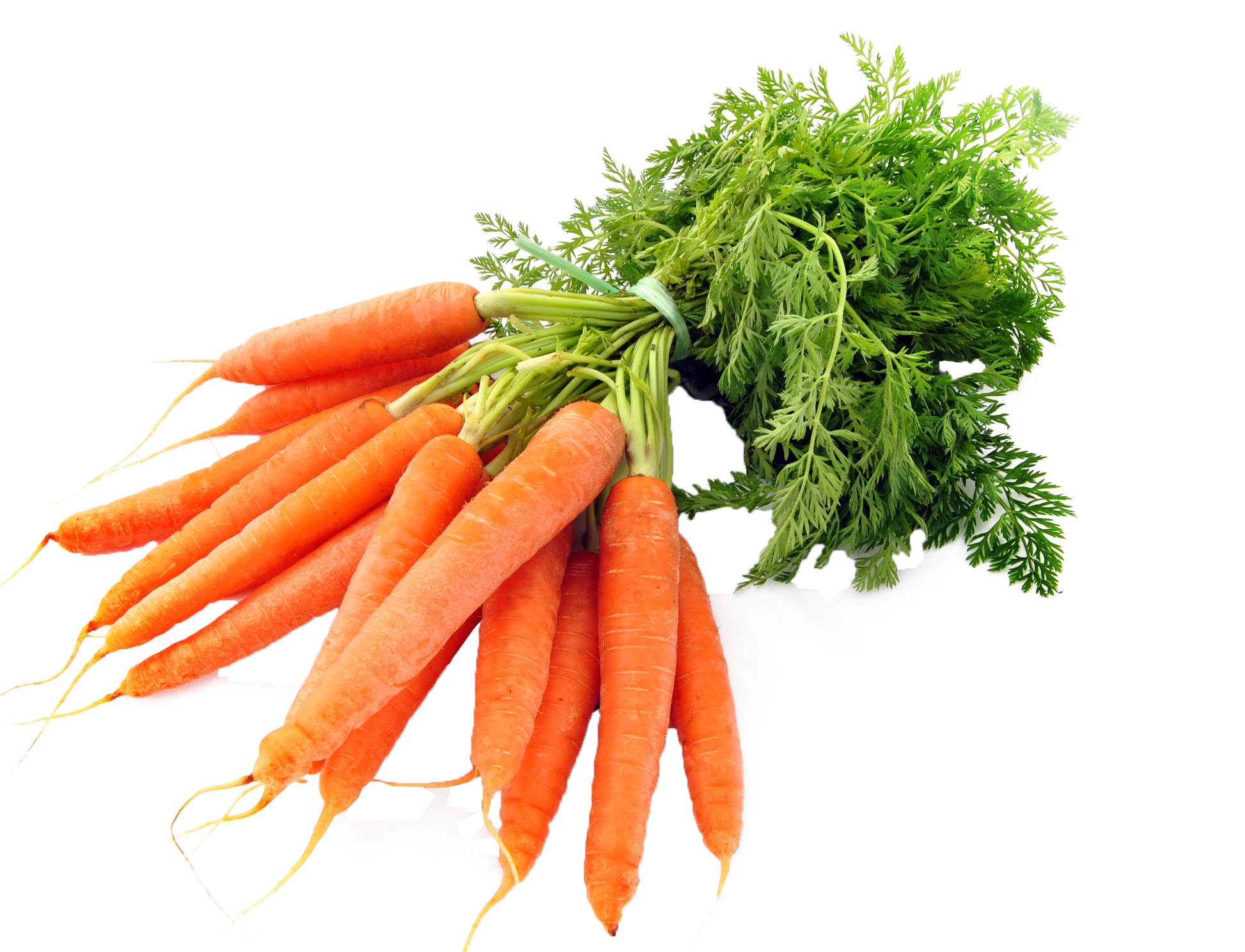 Fresh Bunchof Carrots.png PNG Image