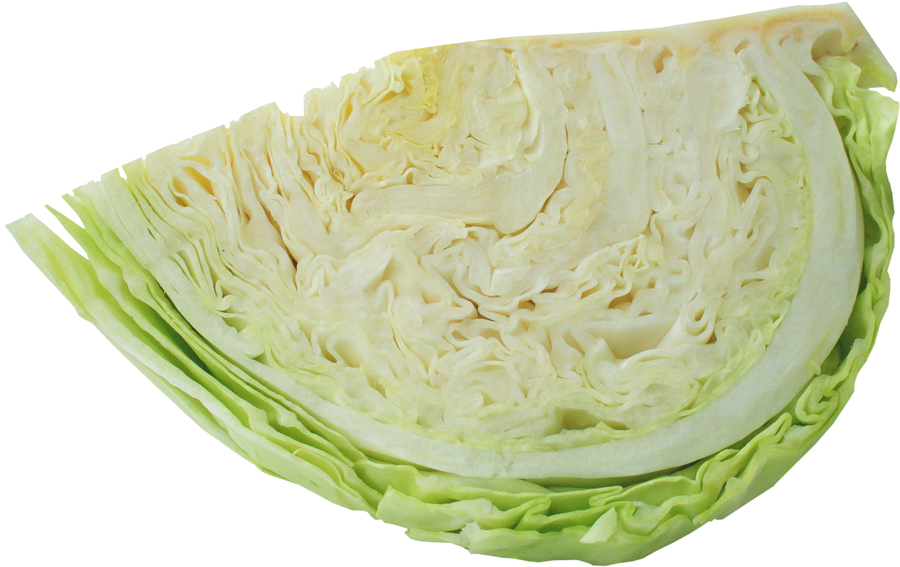 Fresh Cabbage Cut Half Transparent Background.png PNG Image