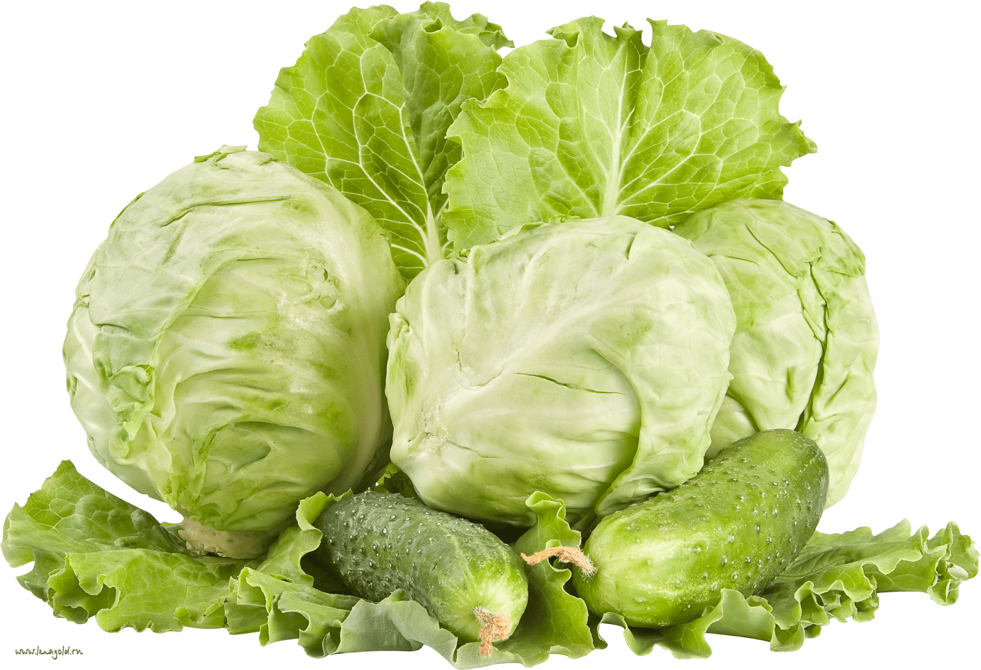 Fresh Cabbageand Cucumbers PNG Image