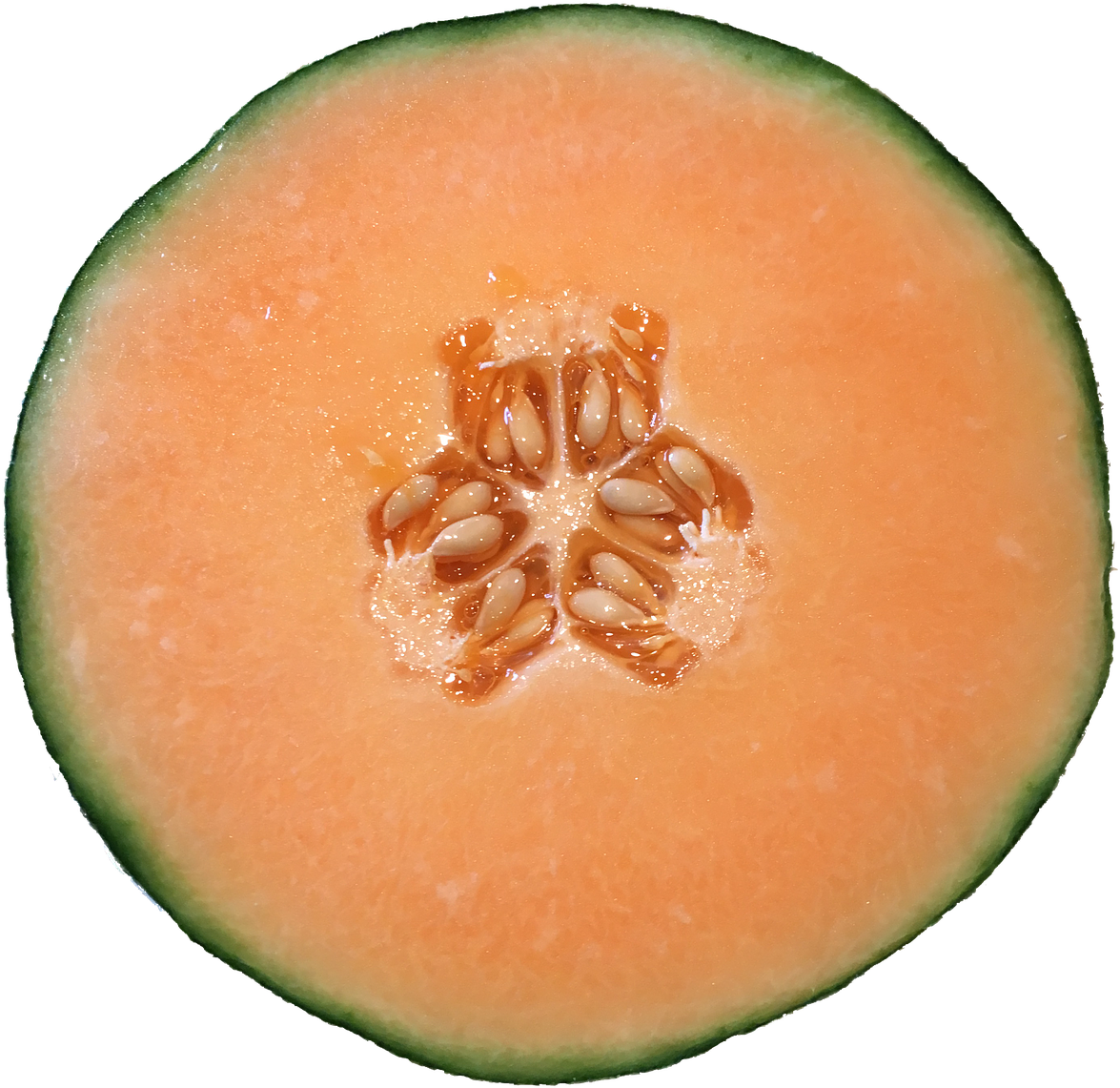 Fresh Cantaloupe Cross Section PNG Image