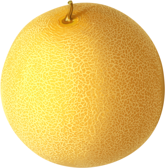 Fresh Cantaloupe Fruit Image PNG Image