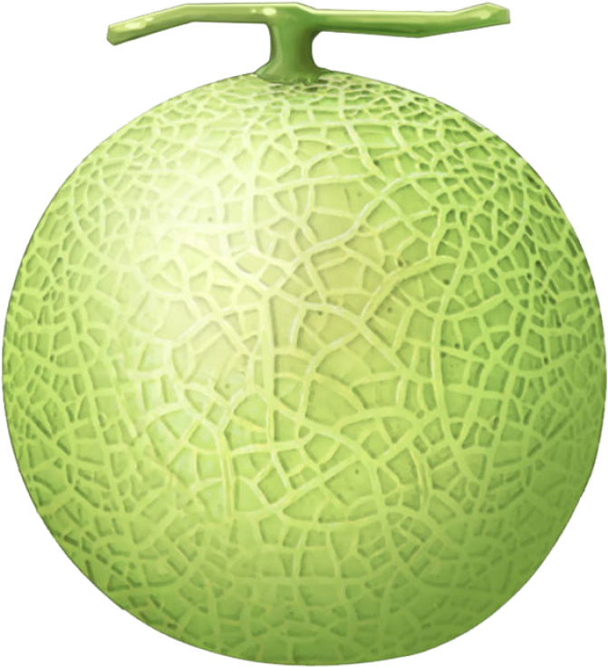 Fresh Cantaloupe Fruit Isolated PNG Image