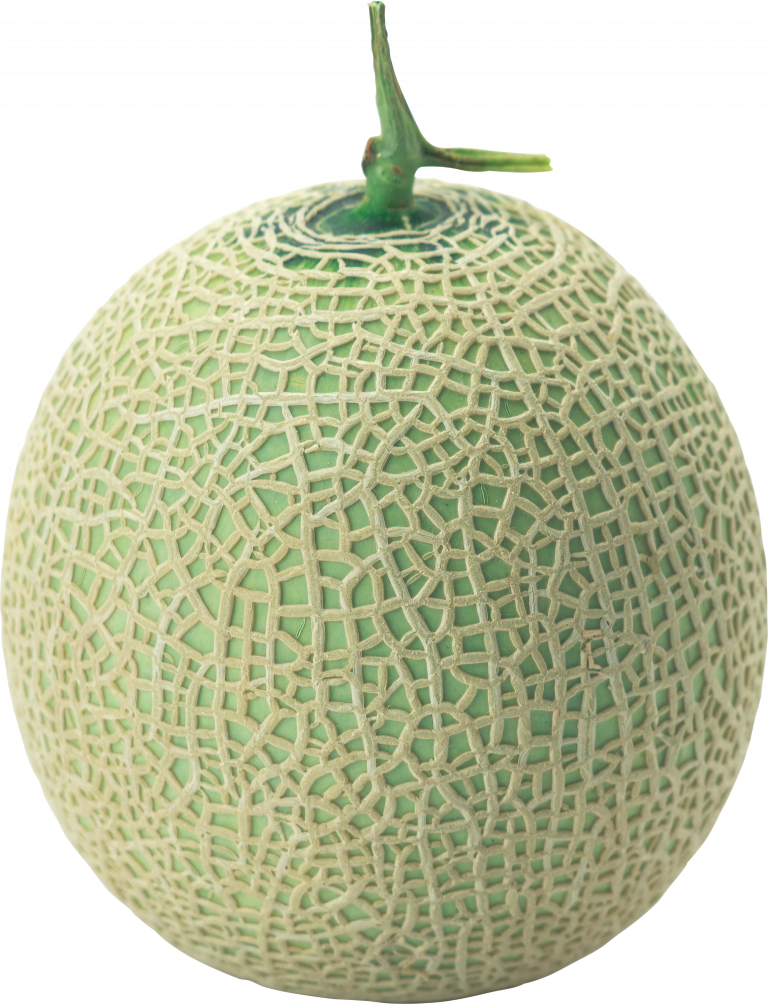 Fresh Cantaloupe Isolatedon Blue Background.png PNG Image