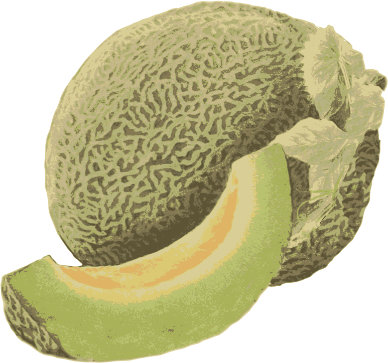 Fresh Cantaloupeand Slice Illustration PNG Image